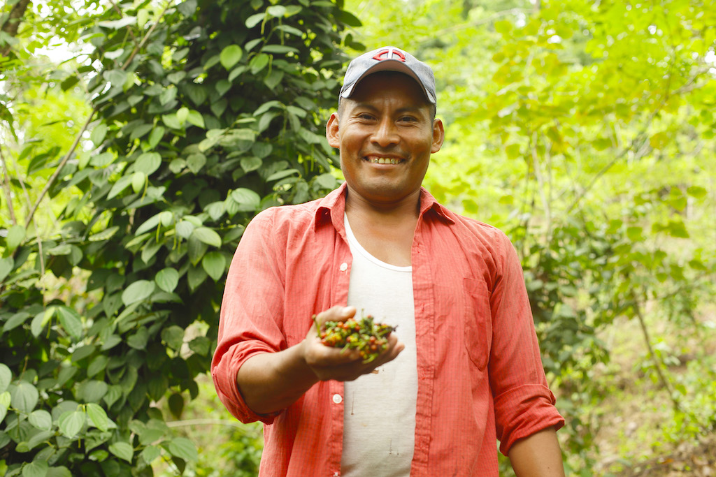 Sustainable Agriculture Training Through Biocentres in Guatemala