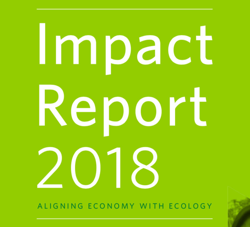 impact report 2018