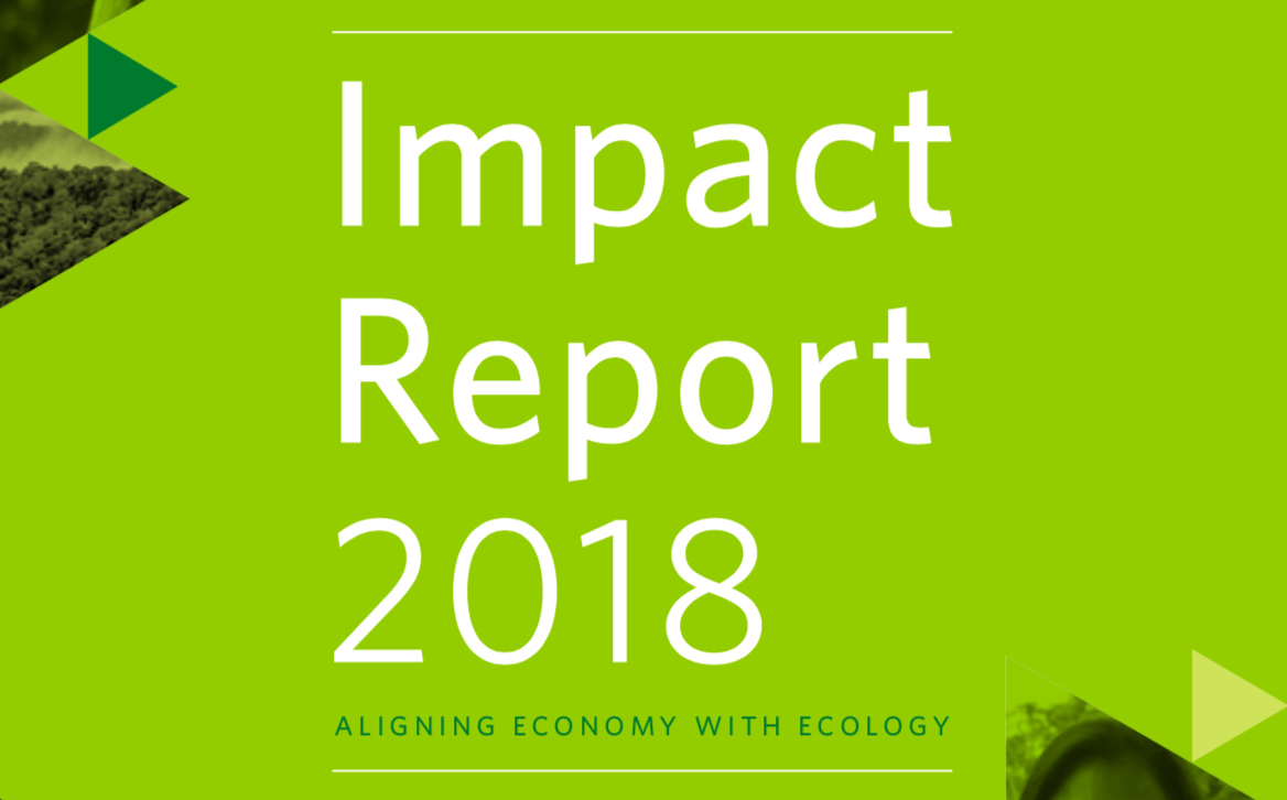 2018 Impact Report launched