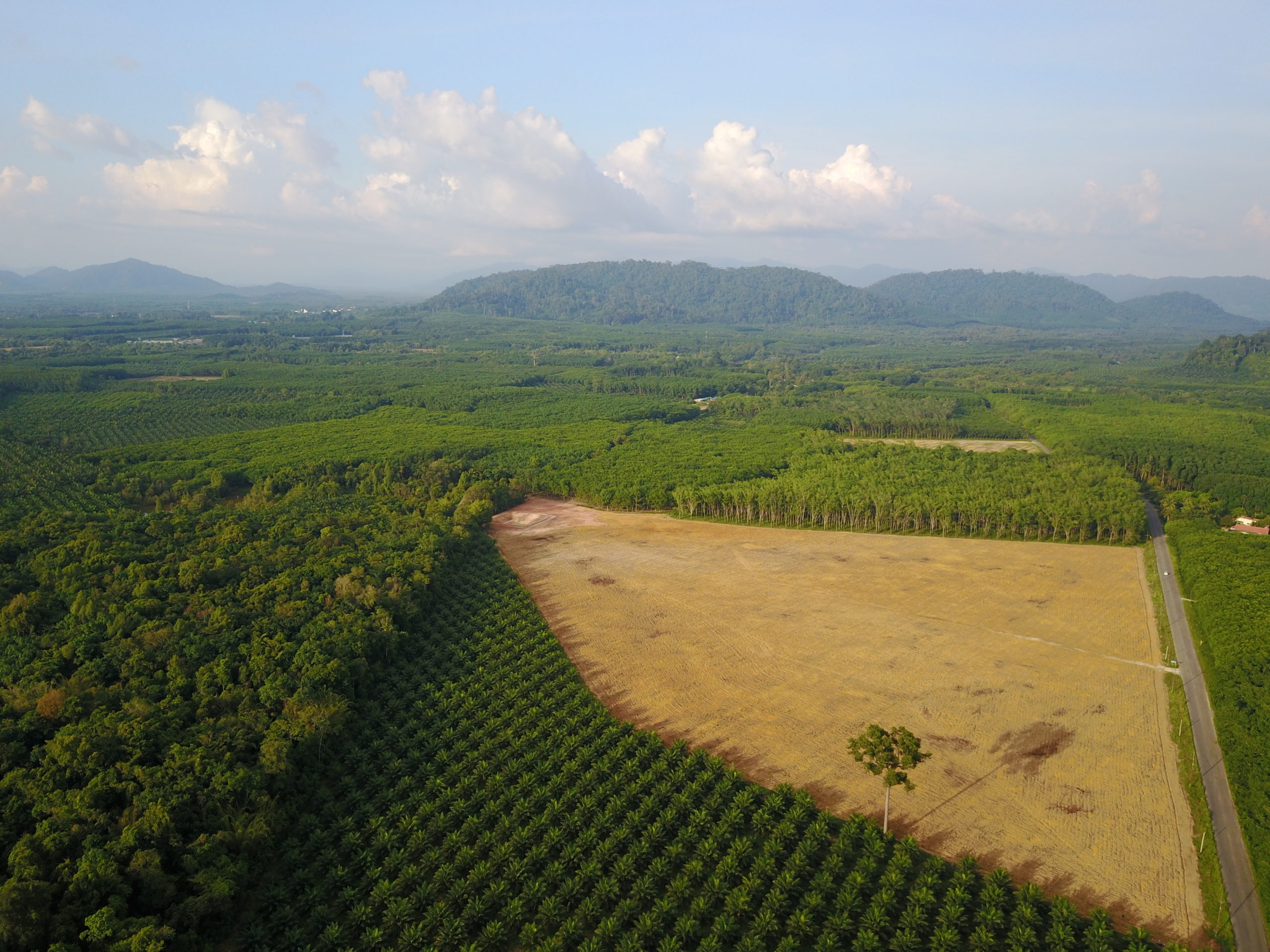 The production landscape of South Sumatra