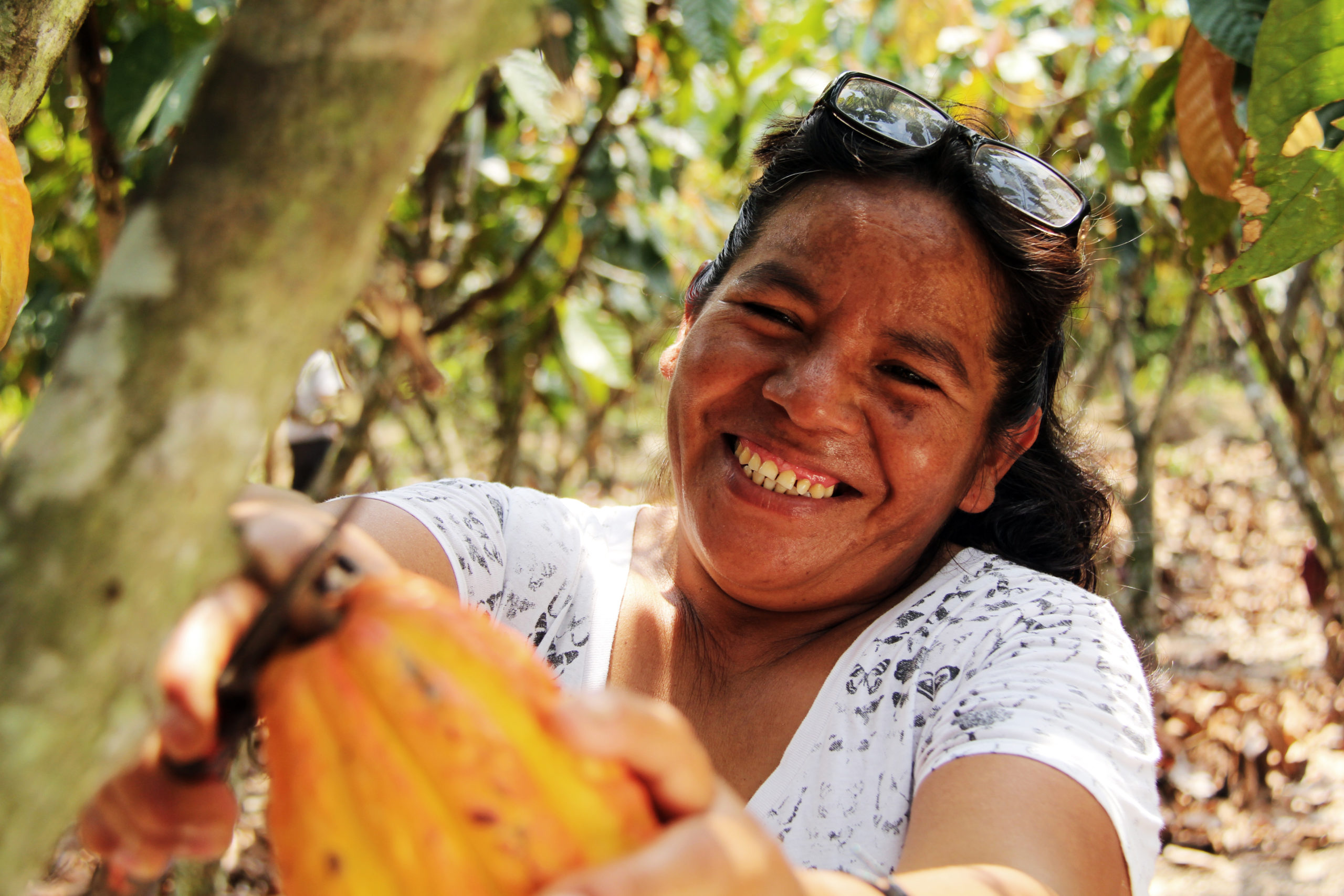 Forest hero: Genoveva, cacao farmer