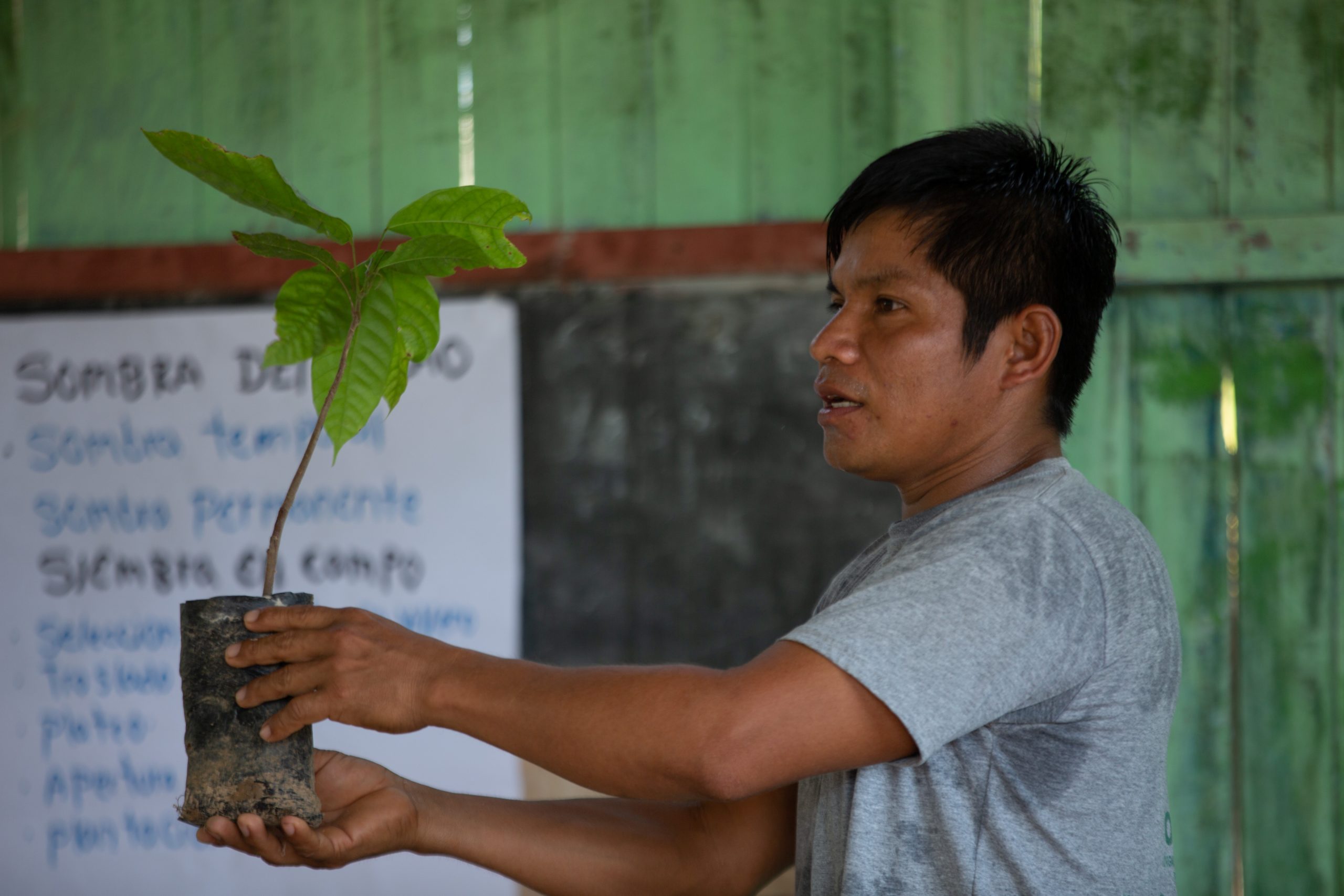 Nii Biri: ‘Wonders of the forest’ social enterprise supporting indigenous communities in Peru