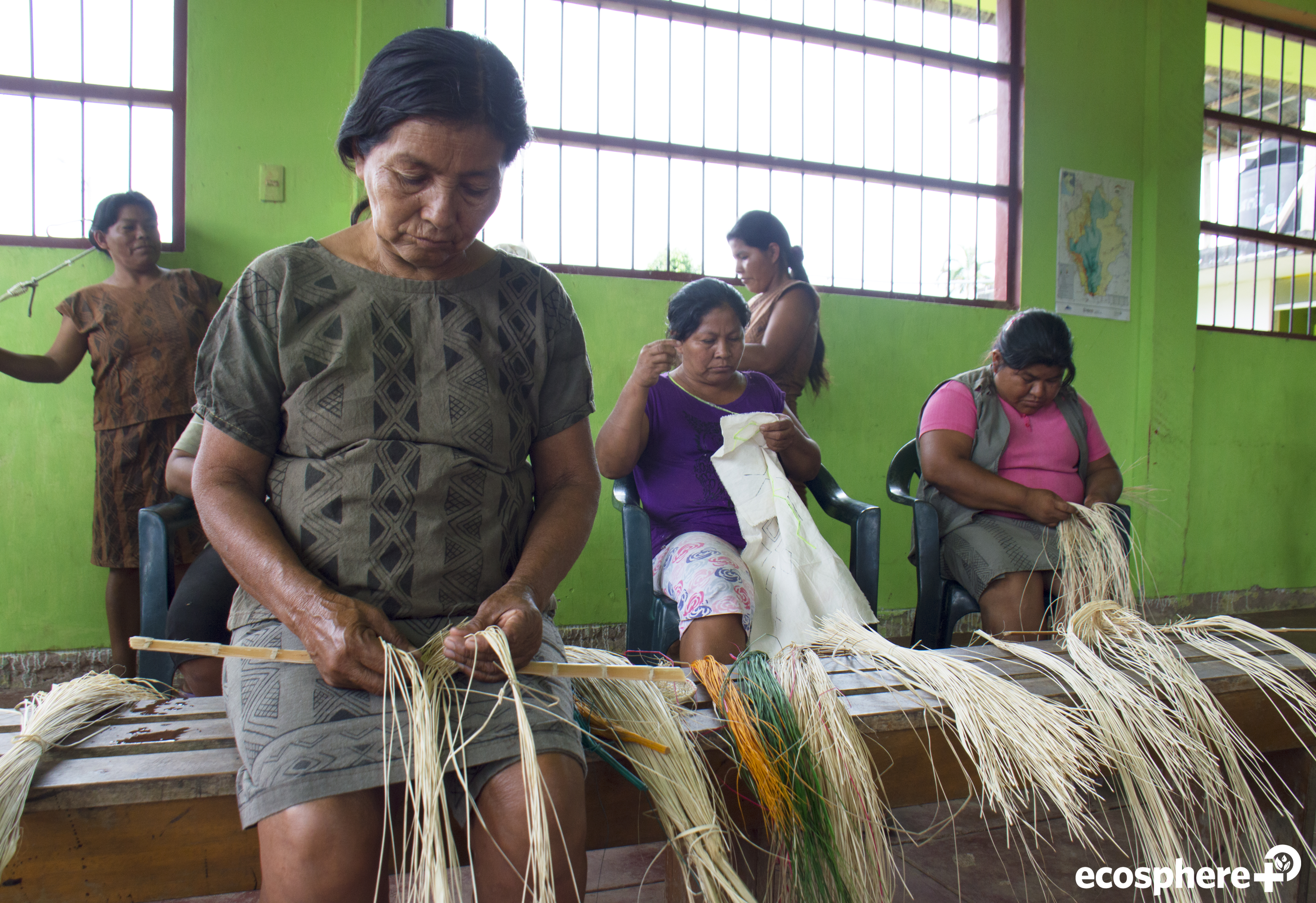 Female-run business driving conservation in the Peruvian Amazon