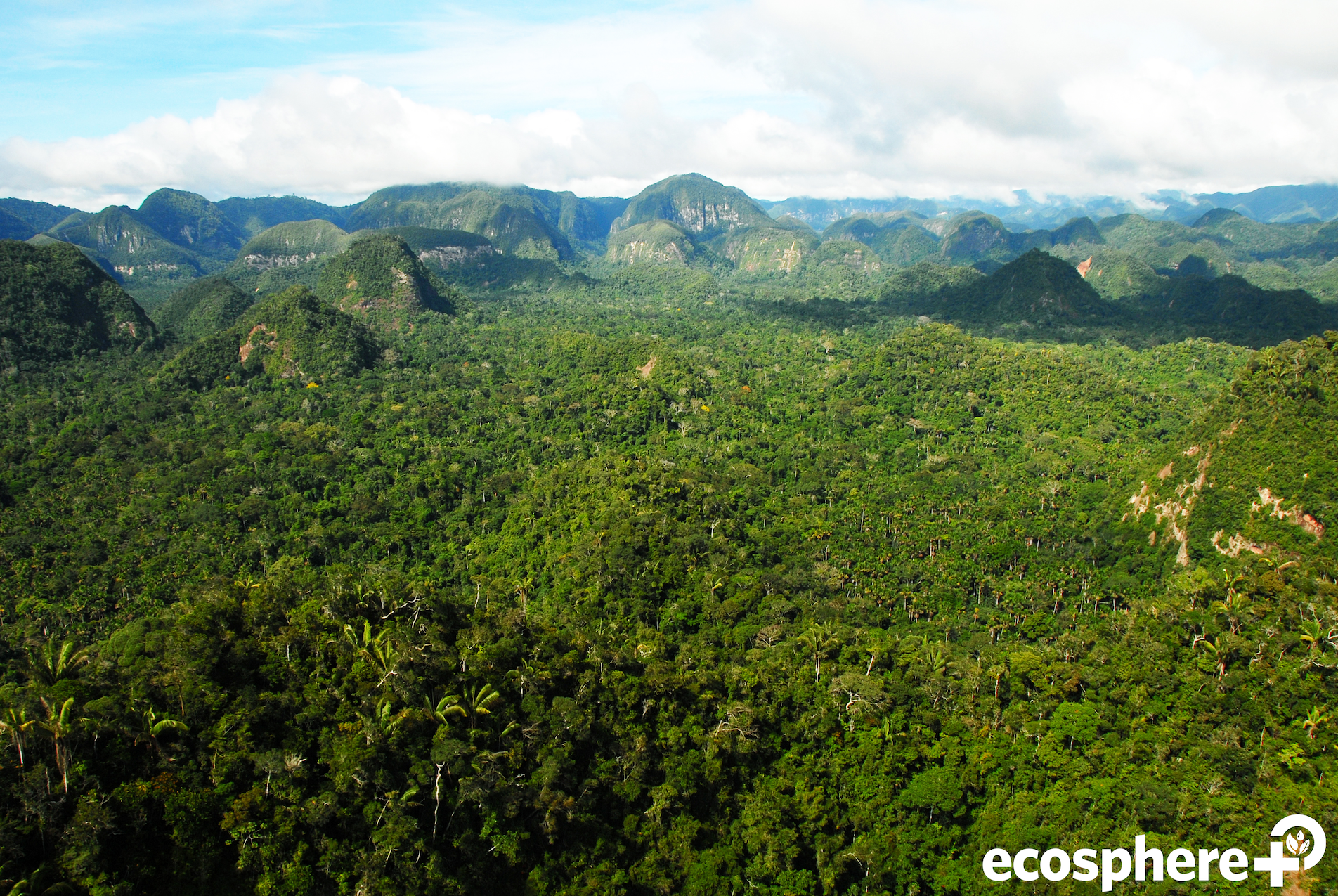 Cordillera Azul establishes a 150 thousand hectare indigenous reserve