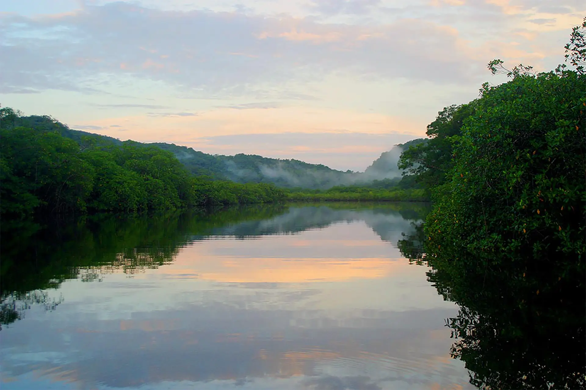 Guatemala mangroves Fundaeco